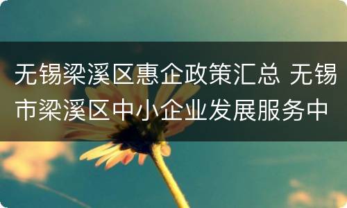 无锡梁溪区惠企政策汇总 无锡市梁溪区中小企业发展服务中心