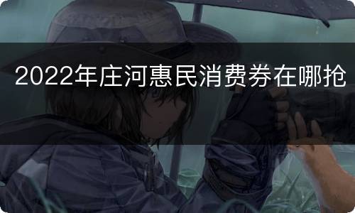 2022年庄河惠民消费券在哪抢