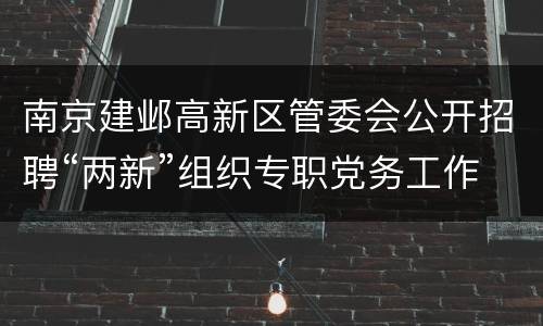 南京建邺高新区管委会公开招聘“两新”组织专职党务工作者公告