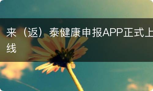 来（返）泰健康申报APP正式上线
