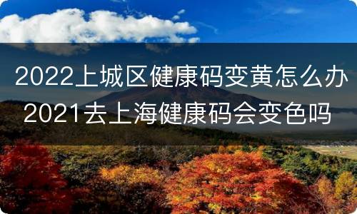 2022上城区健康码变黄怎么办 2021去上海健康码会变色吗