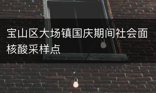 宝山区大场镇国庆期间社会面核酸采样点