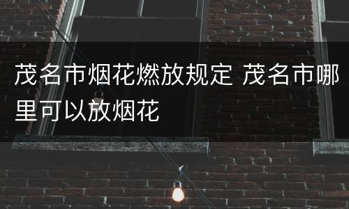 茂名市烟花燃放规定 茂名市哪里可以放烟花
