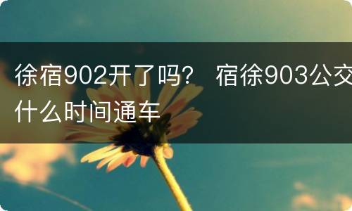 徐宿902开了吗？ 宿徐903公交什么时间通车