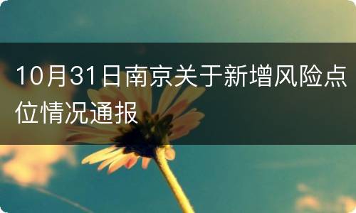 10月31日南京关于新增风险点位情况通报