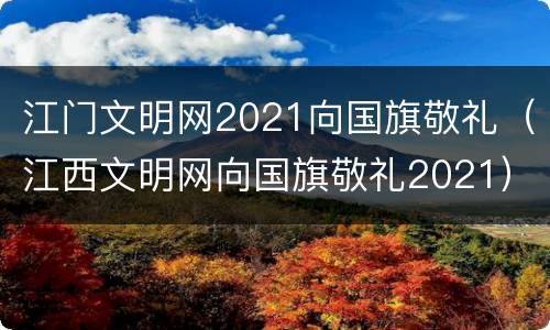 江门文明网2021向国旗敬礼（江西文明网向国旗敬礼2021）