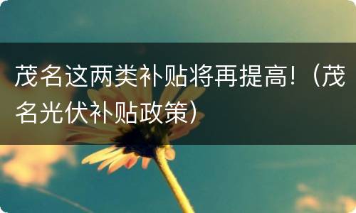 茂名这两类补贴将再提高!（茂名光伏补贴政策）