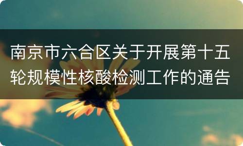 南京市六合区关于开展第十五轮规模性核酸检测工作的通告