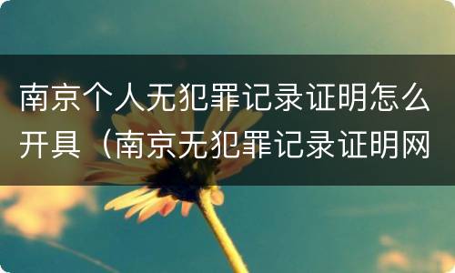 南京个人无犯罪记录证明怎么开具（南京无犯罪记录证明网上申请）