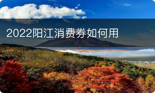 2022阳江消费券如何用