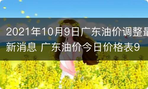 2021年10月9日广东油价调整最新消息 广东油价今日价格表98
