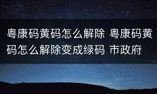 粤康码黄码怎么解除 粤康码黄码怎么解除变成绿码 市政府