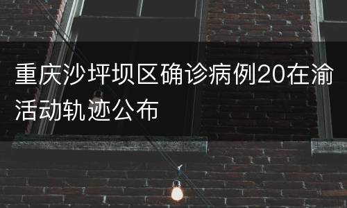 重庆沙坪坝区确诊病例20在渝活动轨迹公布