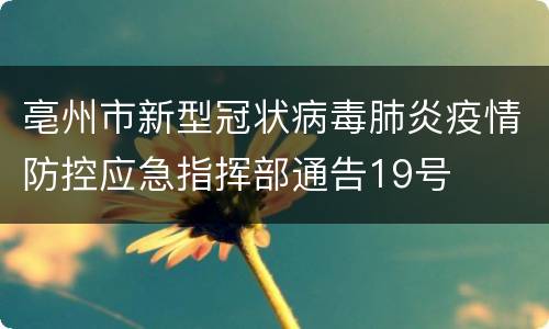 亳州市新型冠状病毒肺炎疫情防控应急指挥部通告19号