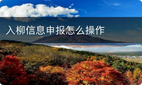 入柳信息申报怎么操作