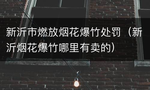 新沂市燃放烟花爆竹处罚（新沂烟花爆竹哪里有卖的）