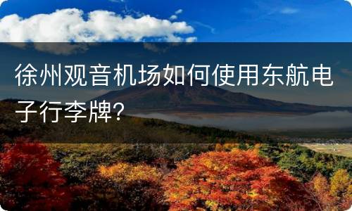 徐州观音机场如何使用东航电子行李牌？