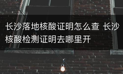 长沙落地核酸证明怎么查 长沙核酸检测证明去哪里开