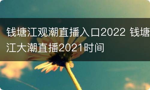 钱塘江观潮直播入口2022 钱塘江大潮直播2021时间