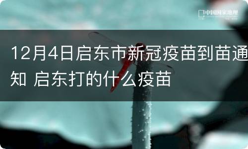 12月4日启东市新冠疫苗到苗通知 启东打的什么疫苗
