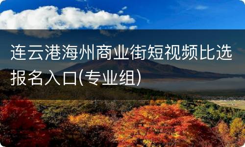 连云港海州商业街短视频比选报名入口(专业组)