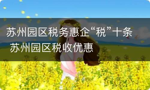 苏州园区税务惠企“税”十条 苏州园区税收优惠