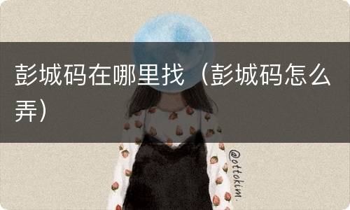 彭城码在哪里找（彭城码怎么弄）