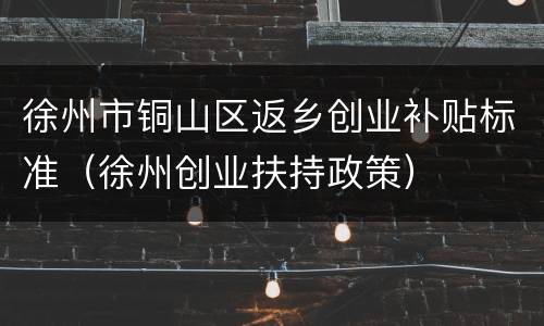 徐州市铜山区返乡创业补贴标准（徐州创业扶持政策）