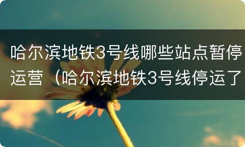 哈尔滨地铁3号线哪些站点暂停运营（哈尔滨地铁3号线停运了吗）
