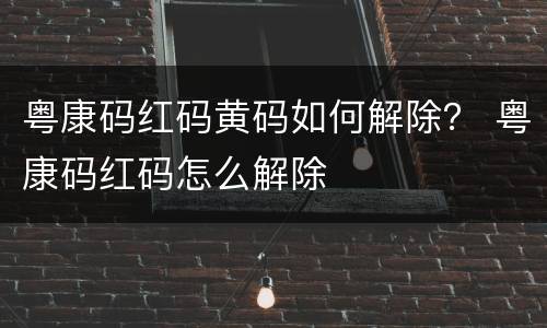 粤康码红码黄码如何解除? 粤康码红码怎么解除
