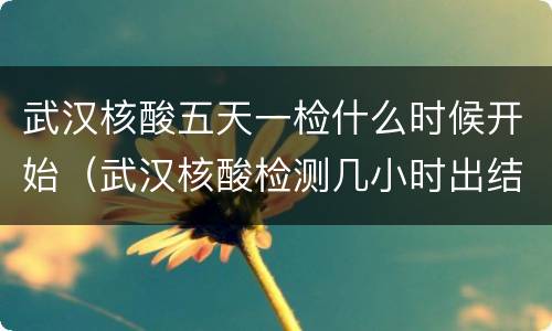 武汉核酸五天一检什么时候开始（武汉核酸检测几小时出结果）