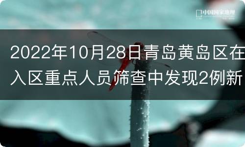 2022年10月28日青岛黄岛区在入区重点人员筛查中发现2例新冠肺炎确诊病例