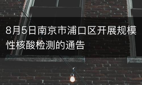 8月5日南京市浦口区开展规模性核酸检测的通告