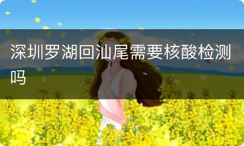 深圳罗湖回汕尾需要核酸检测吗