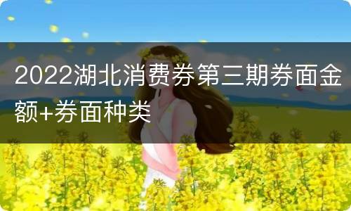 2022湖北消费券第三期券面金额+券面种类