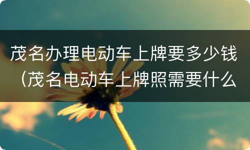 茂名办理电动车上牌要多少钱（茂名电动车上牌照需要什么手续）