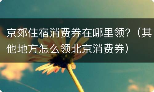 京郊住宿消费券在哪里领?（其他地方怎么领北京消费券）