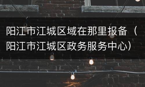 阳江市江城区域在那里报备（阳江市江城区政务服务中心）