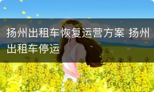 扬州出租车恢复运营方案 扬州出租车停运