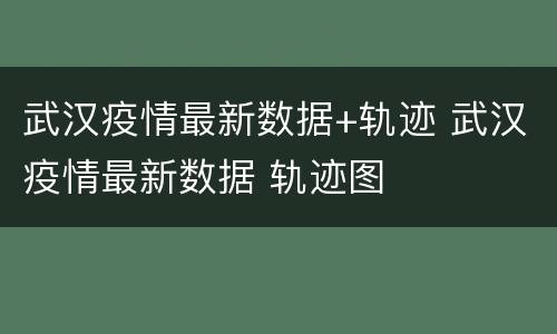武汉疫情最新数据+轨迹 武汉疫情最新数据 轨迹图