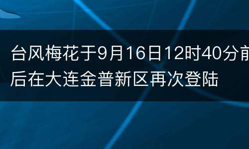 台风梅花于9月16日12时40分前后在大连金普新区再次登陆