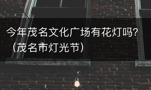 今年茂名文化广场有花灯吗？（茂名市灯光节）