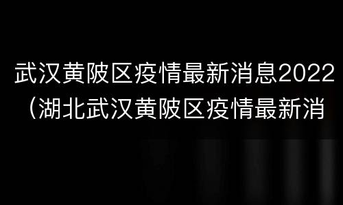 武汉黄陂区疫情最新消息2022（湖北武汉黄陂区疫情最新消息）