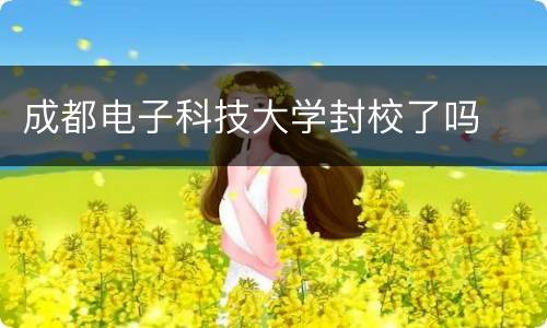 成都电子科技大学封校了吗