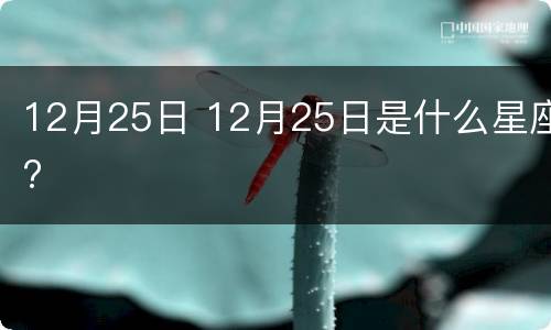 12月25日 12月25日是什么星座?