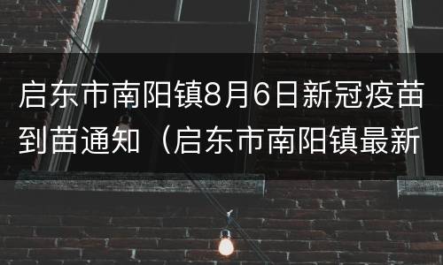 启东市南阳镇8月6日新冠疫苗到苗通知（启东市南阳镇最新规划）