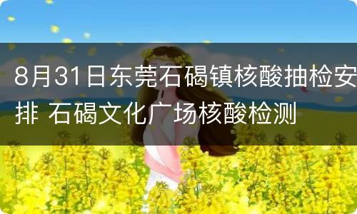 8月31日东莞石碣镇核酸抽检安排 石碣文化广场核酸检测