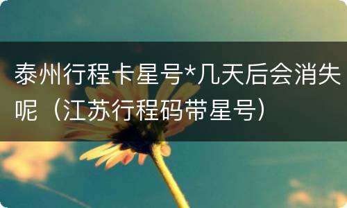 泰州行程卡星号*几天后会消失呢（江苏行程码带星号）