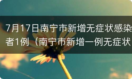 7月17日南宁市新增无症状感染者1例（南宁市新增一例无症状感染者）