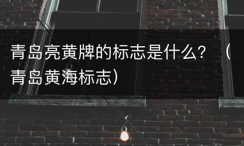 青岛亮黄牌的标志是什么？（青岛黄海标志）